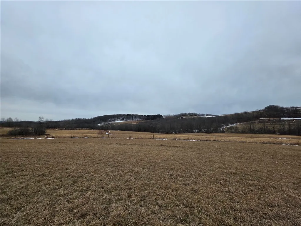 1300 County Route 82, Troupsburg, New York 14885, Troupsburg, New York 14885, ,Land,For Sale,1300 County Route 82, Troupsburg, New York 14885,0,R1657620