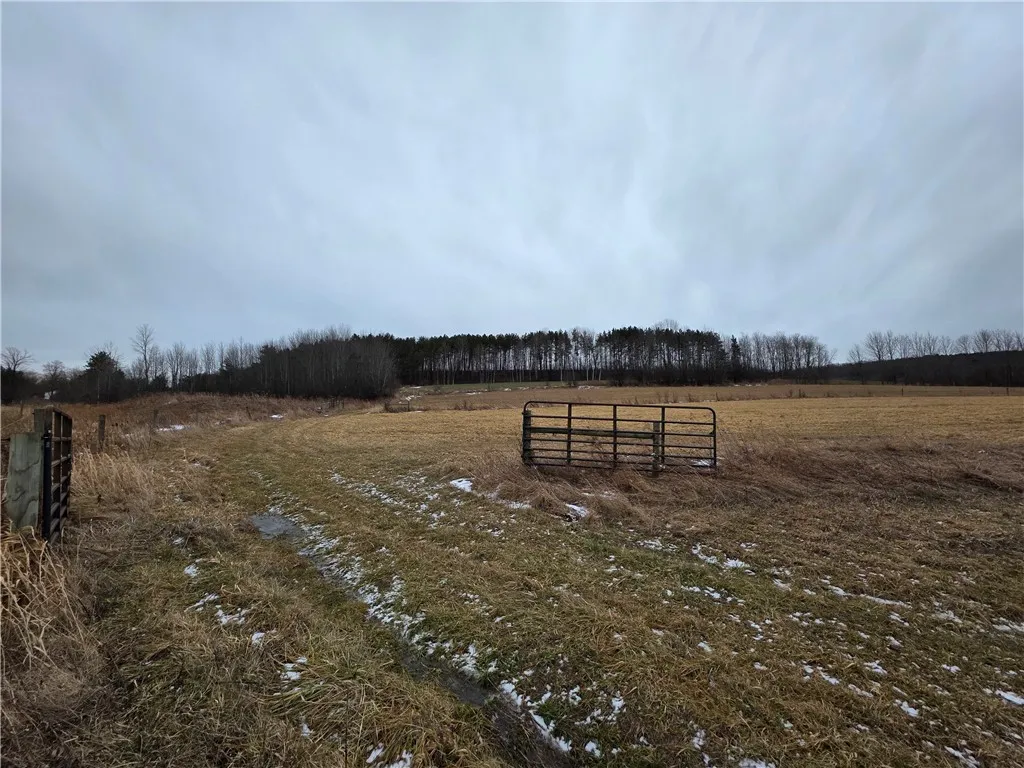 1300 County Route 82, Troupsburg, New York 14885, Troupsburg, New York 14885, ,Land,For Sale,1300 County Route 82, Troupsburg, New York 14885,0,R1657620