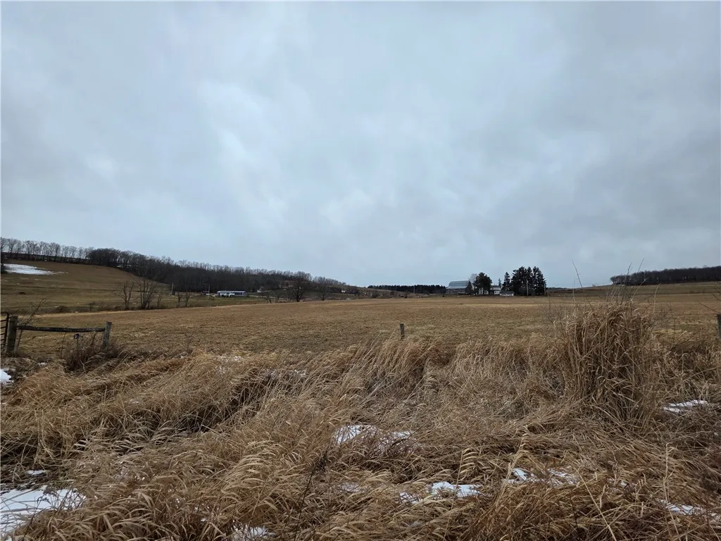 1300 County Route 82, Troupsburg, New York 14885, Troupsburg, New York 14885, ,Land,For Sale,1300 County Route 82, Troupsburg, New York 14885,0,R1657620