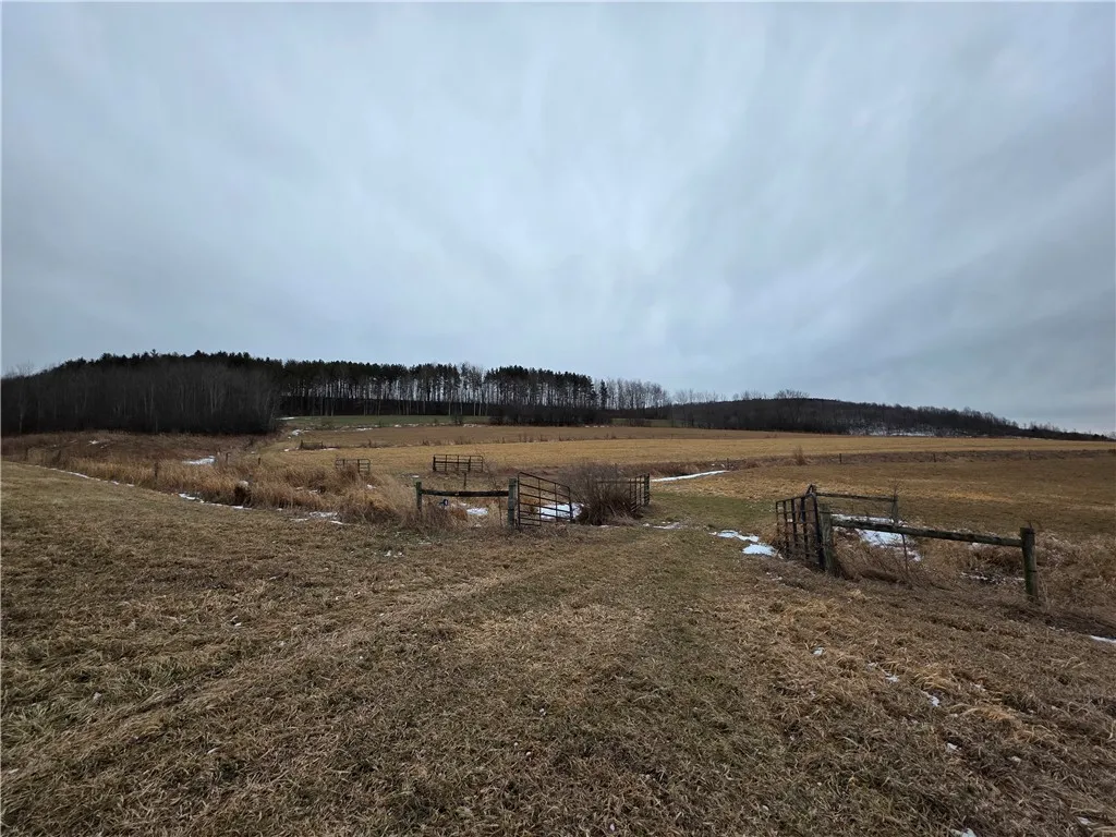 1300 County Route 82, Troupsburg, New York 14885, Troupsburg, New York 14885, ,Land,For Sale,1300 County Route 82, Troupsburg, New York 14885,0,R1657620