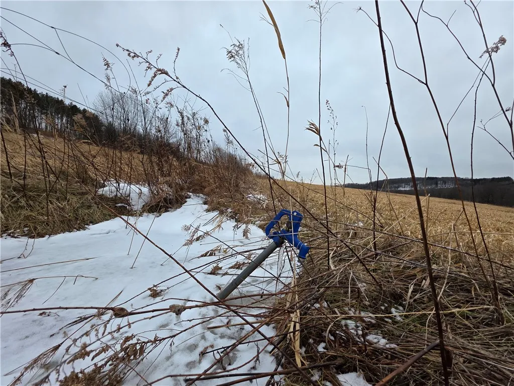 1300 County Route 82, Troupsburg, New York 14885, Troupsburg, New York 14885, ,Land,For Sale,1300 County Route 82, Troupsburg, New York 14885,0,R1657620