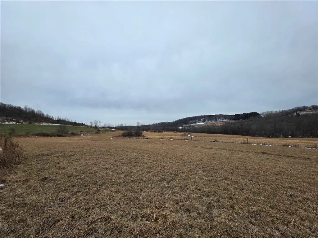 1300 County Route 82, Troupsburg, New York 14885, Troupsburg, New York 14885, ,Land,For Sale,1300 County Route 82, Troupsburg, New York 14885,0,R1657620