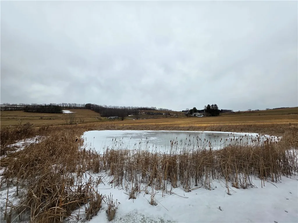 1300 County Route 82, Troupsburg, New York 14885, Troupsburg, New York 14885, ,Land,For Sale,1300 County Route 82, Troupsburg, New York 14885,0,R1657620