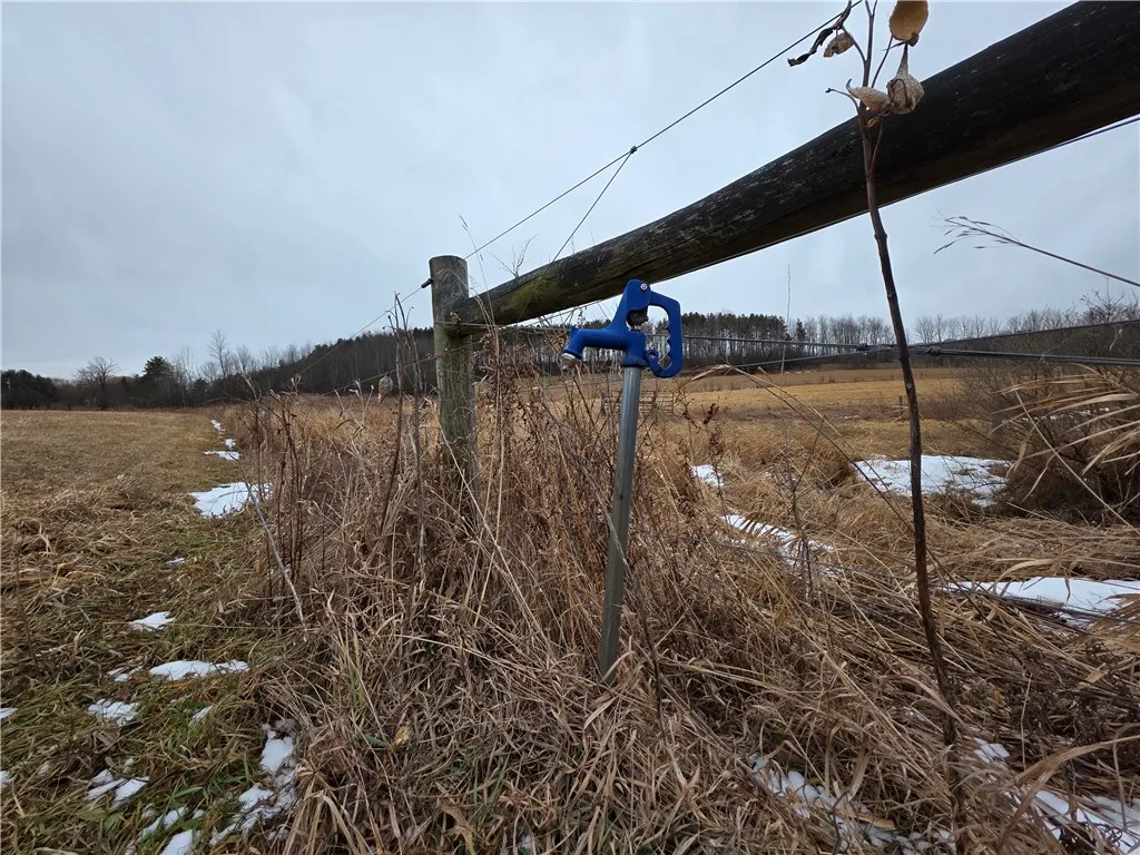 1300 County Route 82, Troupsburg, New York 14885, Troupsburg, New York 14885, ,Land,For Sale,1300 County Route 82, Troupsburg, New York 14885,0,R1657620