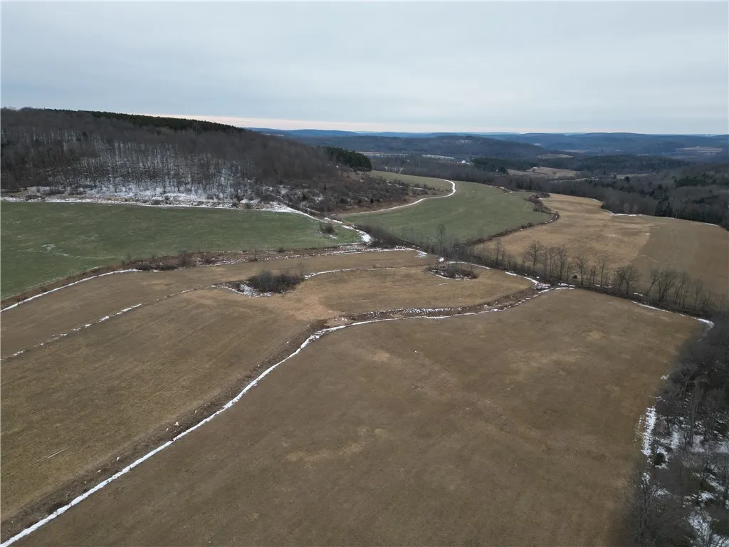 1300 County Route 82, Troupsburg, New York 14885, Troupsburg, New York 14885, ,Land,For Sale,1300 County Route 82, Troupsburg, New York 14885,0,R1657620