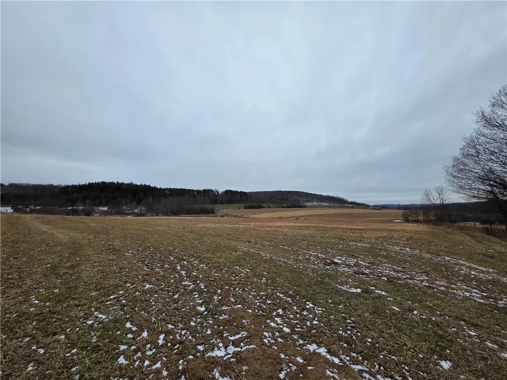 1300 County Route 82, Troupsburg, New York 14885, Troupsburg, New York 14885, ,Land,For Sale,1300 County Route 82, Troupsburg, New York 14885,0,R1657620