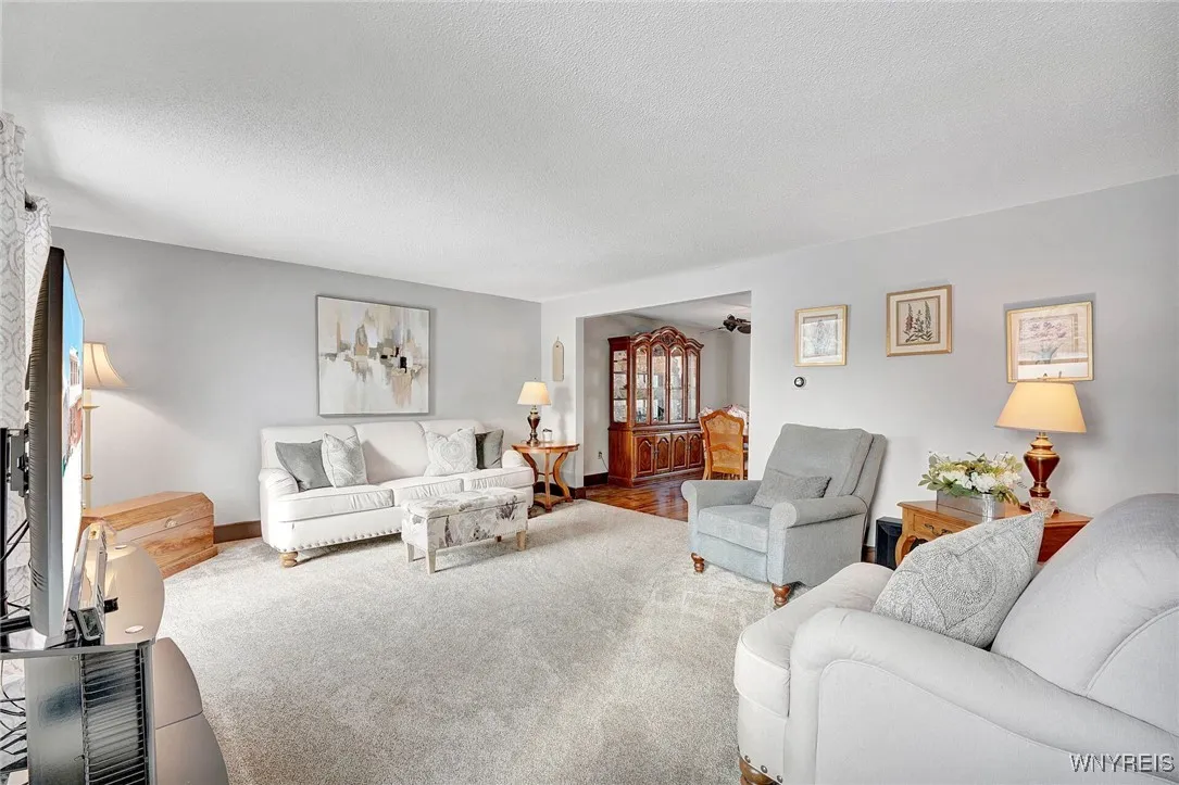 LIVING ROOM WITH PLUSH CARPET- CUSTOM BLINDS