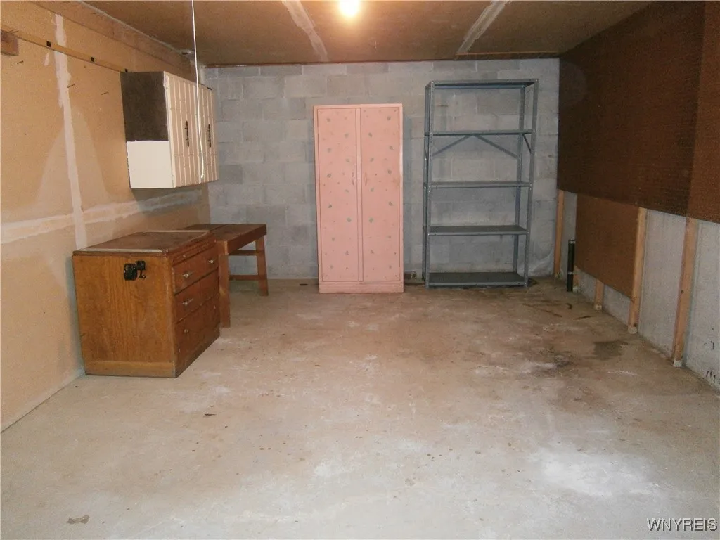 Basement storage 1
