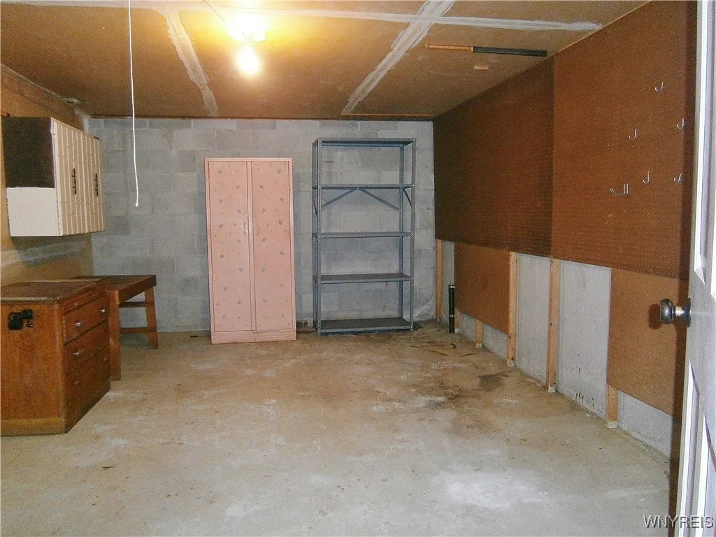 Basement storage 1