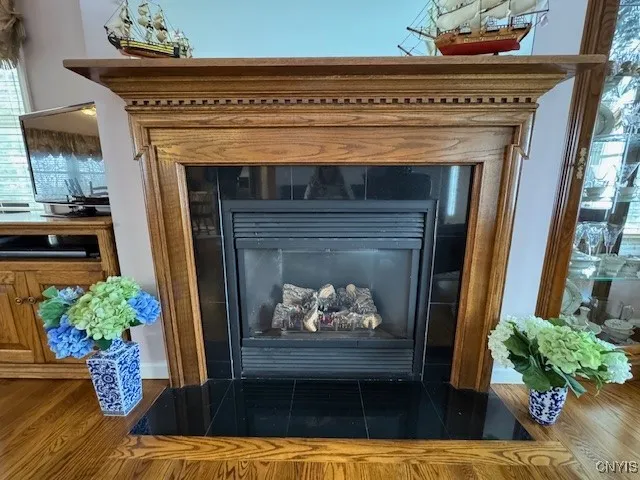 Gas fireplace