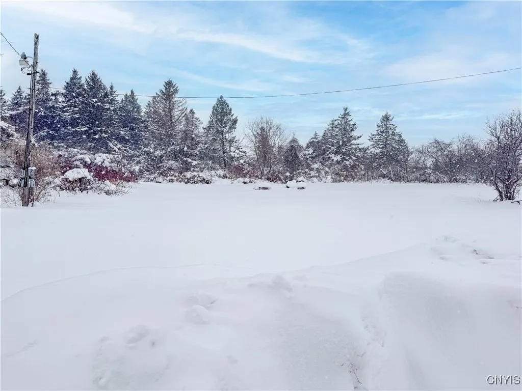 23983 Fire Rd 31, Lyme, New York 13693, Lyme, New York 13693, ,Land,For Sale,23983 Fire Rd 31, Lyme, New York 13693,0,S1661115