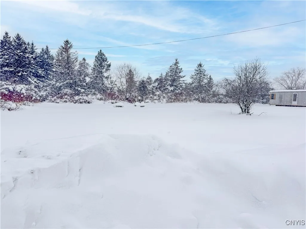 23983 Fire Rd 31, Lyme, New York 13693, Lyme, New York 13693, ,Land,For Sale,23983 Fire Rd 31, Lyme, New York 13693,0,S1661115