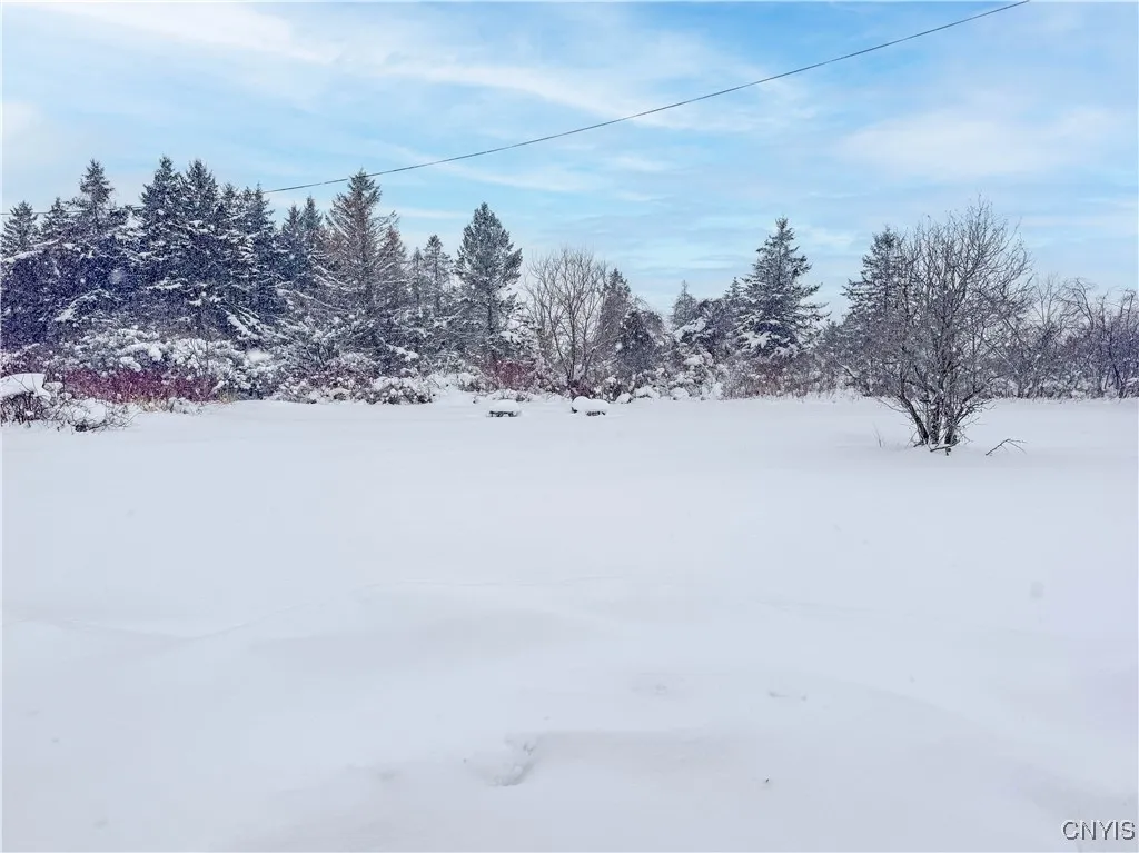 23983 Fire Rd 31, Lyme, New York 13693, Lyme, New York 13693, ,Land,For Sale,23983 Fire Rd 31, Lyme, New York 13693,0,S1661115 23983 Fire Rd 31, Lyme, New York 13693, Lyme, New York 13693, ,Land,For Sale,23983 Fire Rd 31, Lyme, New York 13693,0,S1661115