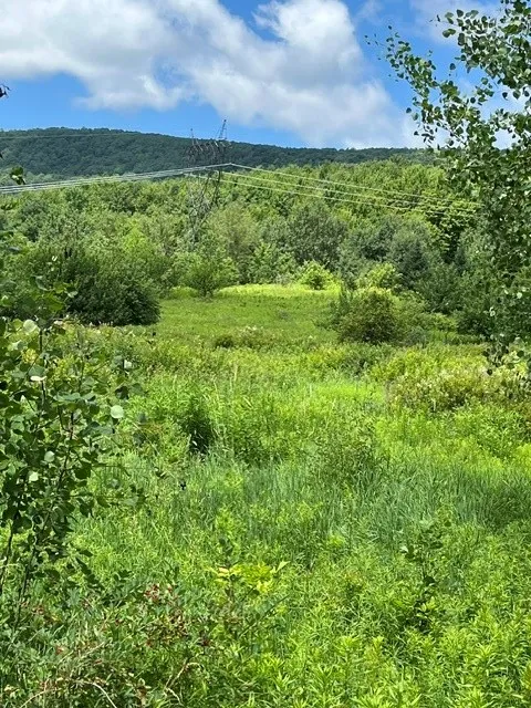 Narrow Notch Road, Stamford, New York 12167, Stamford, New York 12167, ,Land,For Sale,Narrow Notch Road, Stamford, New York 12167,0,R1661368
