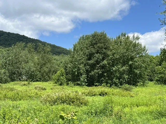 Narrow Notch Road, Stamford, New York 12167, Stamford, New York 12167, ,Land,For Sale,Narrow Notch Road, Stamford, New York 12167,0,R1661368