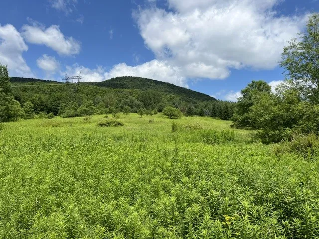 Narrow Notch Road, Stamford, New York 12167, Stamford, New York 12167, ,Land,For Sale,Narrow Notch Road, Stamford, New York 12167,0,R1661368