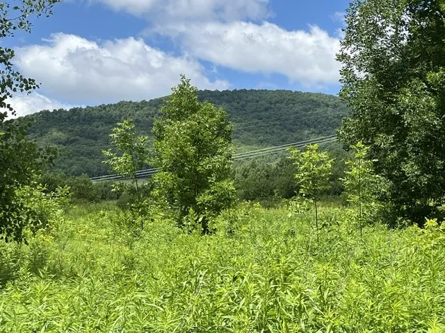 Narrow Notch Road, Stamford, New York 12167, Stamford, New York 12167, ,Land,For Sale,Narrow Notch Road, Stamford, New York 12167,0,R1661368