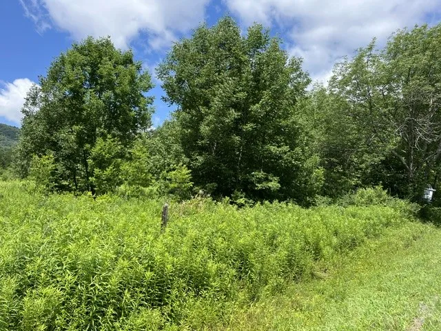 Narrow Notch Road, Stamford, New York 12167, Stamford, New York 12167, ,Land,For Sale,Narrow Notch Road, Stamford, New York 12167,0,R1661368