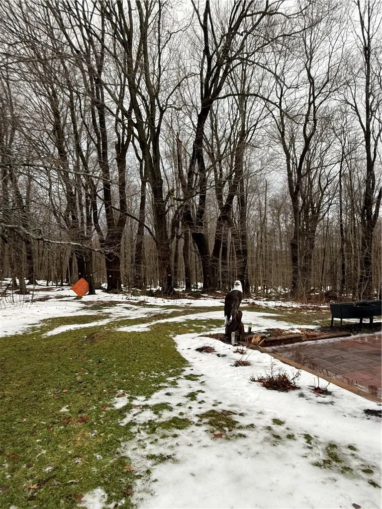 Rear lawn with wooded area