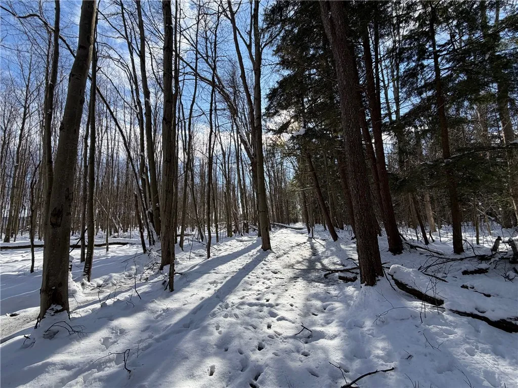 Carpenter Road, Evans, New York 14006, Evans, New York 14006, ,Land,For Sale,Carpenter Road, Evans, New York 14006,0,R1661481