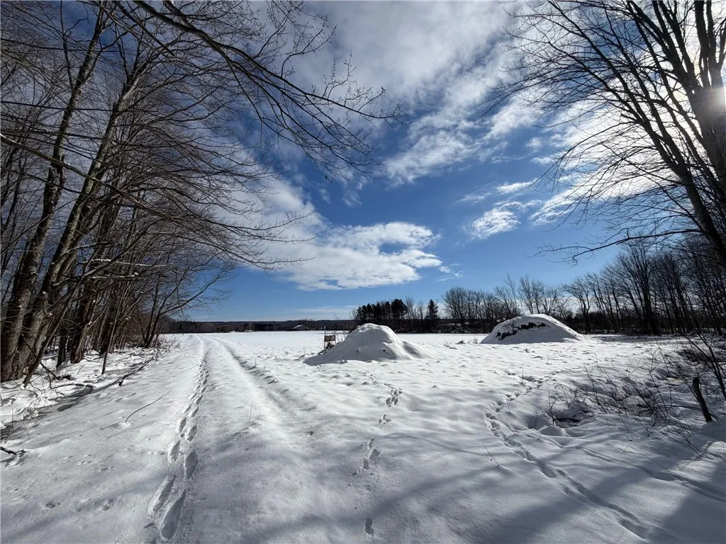 Carpenter Road, Evans, New York 14006, Evans, New York 14006, ,Land,For Sale,Carpenter Road, Evans, New York 14006,0,R1661481