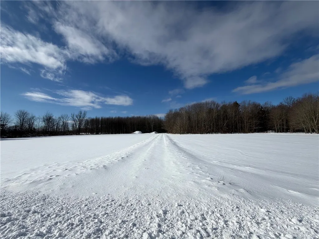 Carpenter Road, Evans, New York 14006, Evans, New York 14006, ,Land,For Sale,Carpenter Road, Evans, New York 14006,0,R1661481