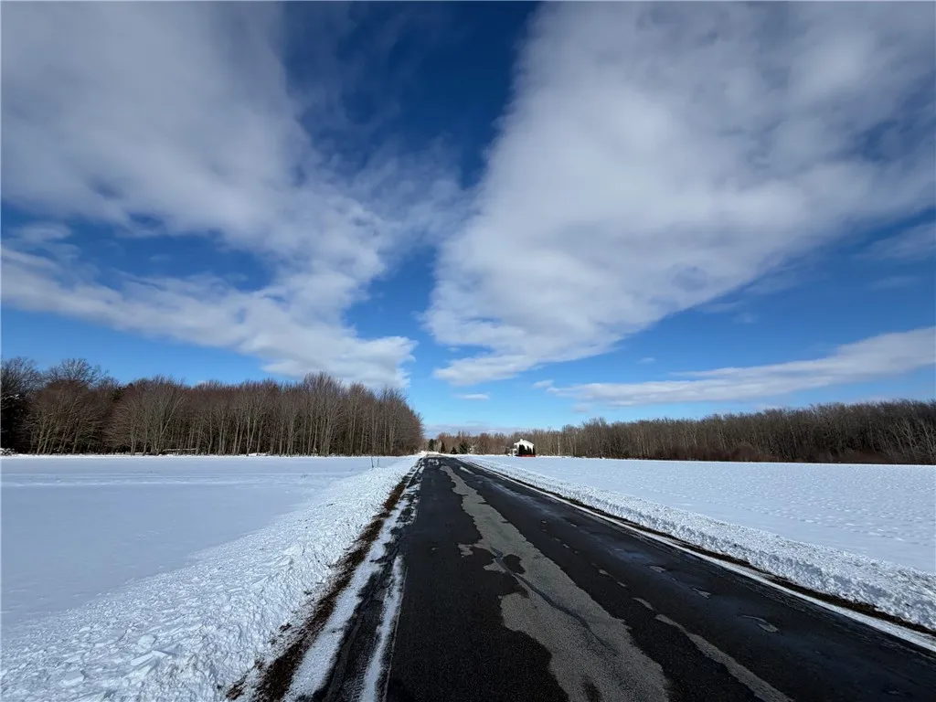 Carpenter Road, Evans, New York 14006, Evans, New York 14006, ,Land,For Sale,Carpenter Road, Evans, New York 14006,0,R1661481