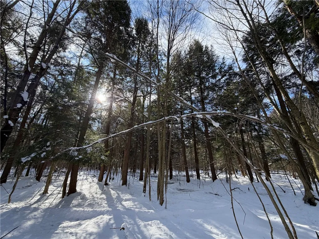 Carpenter Road, Evans, New York 14006, Evans, New York 14006, ,Land,For Sale,Carpenter Road, Evans, New York 14006,0,R1661481