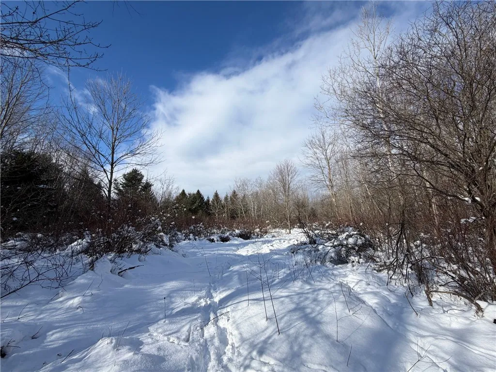 Carpenter Road, Evans, New York 14006, Evans, New York 14006, ,Land,For Sale,Carpenter Road, Evans, New York 14006,0,R1661481