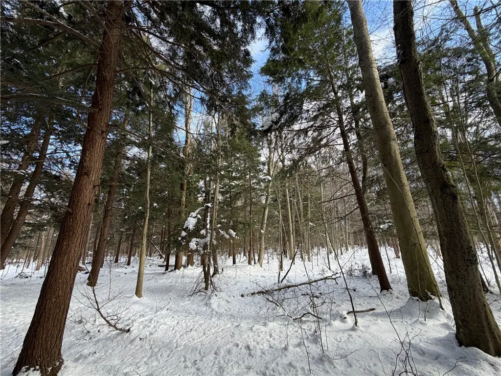 Carpenter Road, Evans, New York 14006, Evans, New York 14006, ,Land,For Sale,Carpenter Road, Evans, New York 14006,0,R1661481