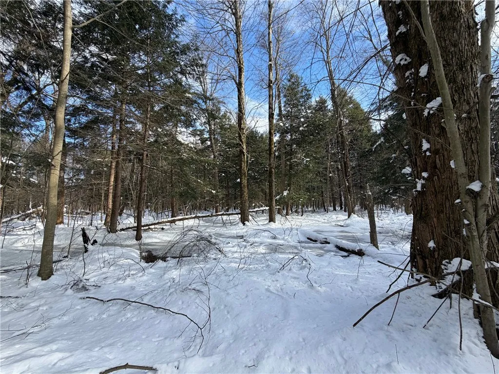 Carpenter Road, Evans, New York 14006, Evans, New York 14006, ,Land,For Sale,Carpenter Road, Evans, New York 14006,0,R1661481