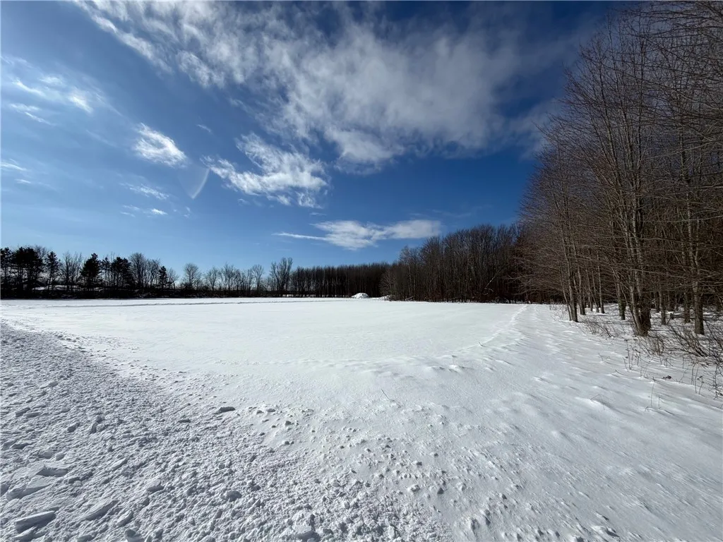Carpenter Road, Evans, New York 14006, Evans, New York 14006, ,Land,For Sale,Carpenter Road, Evans, New York 14006,0,R1661481 Carpenter Road, Evans, New York 14006, Evans, New York 14006, ,Land,For Sale,Carpenter Road, Evans, New York 14006,0,R1661481