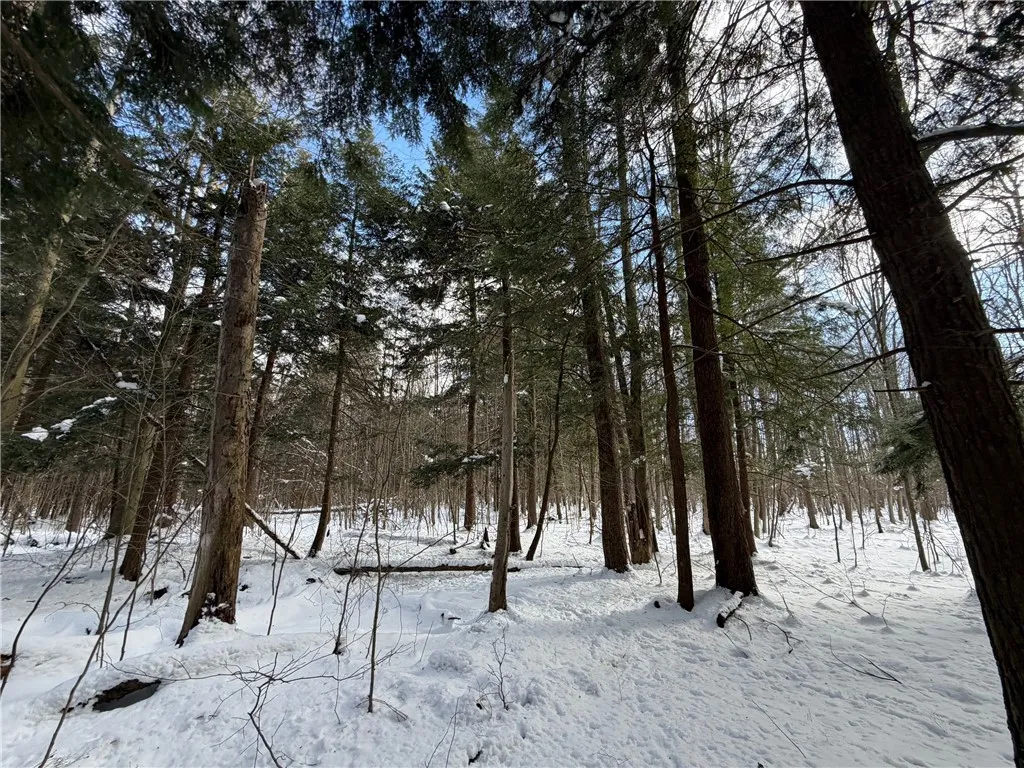 Carpenter Road, Evans, New York 14006, Evans, New York 14006, ,Land,For Sale,Carpenter Road, Evans, New York 14006,0,R1661481