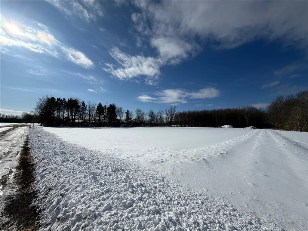Carpenter Road, Evans, New York 14006, Evans, New York 14006, ,Land,For Sale,Carpenter Road, Evans, New York 14006,0,R1661481