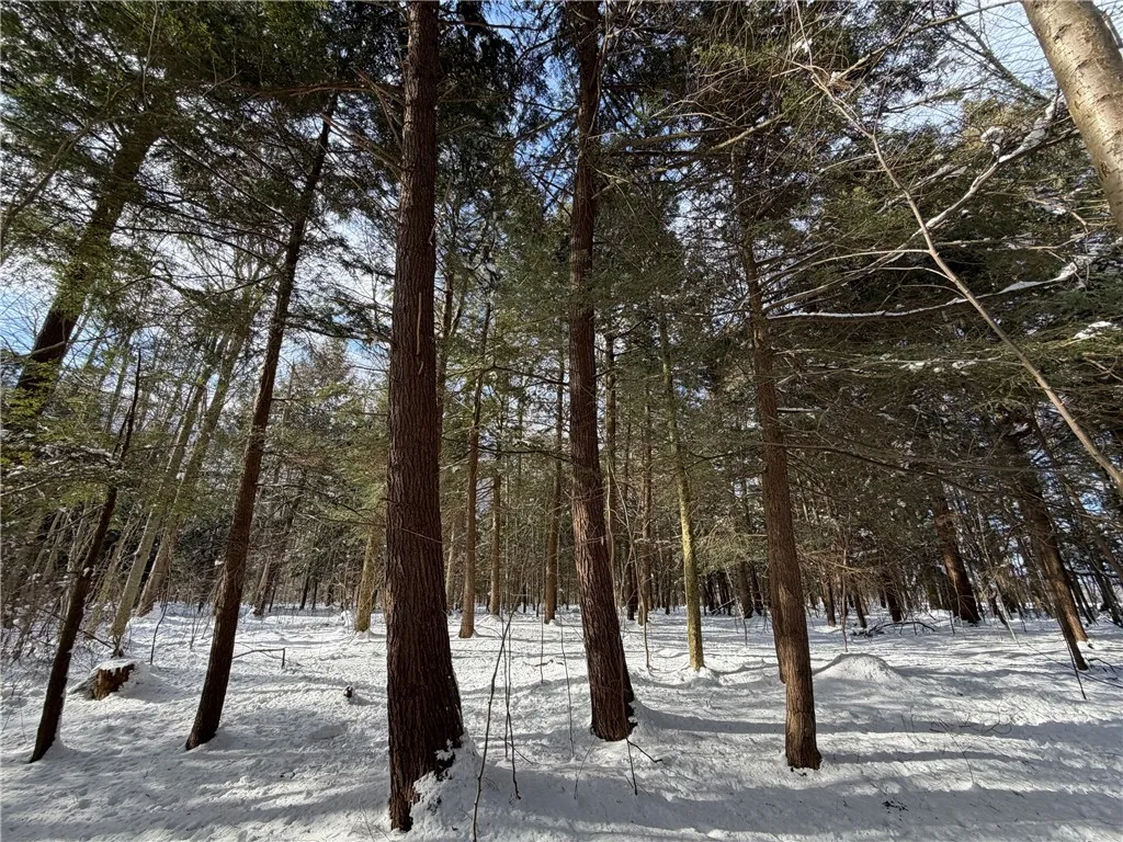 Carpenter Road, Evans, New York 14006, Evans, New York 14006, ,Land,For Sale,Carpenter Road, Evans, New York 14006,0,R1661481