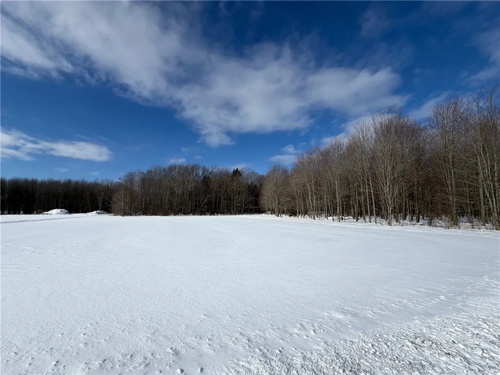 Carpenter Road, Evans, New York 14006, Evans, New York 14006, ,Land,For Sale,Carpenter Road, Evans, New York 14006,0,R1661481
