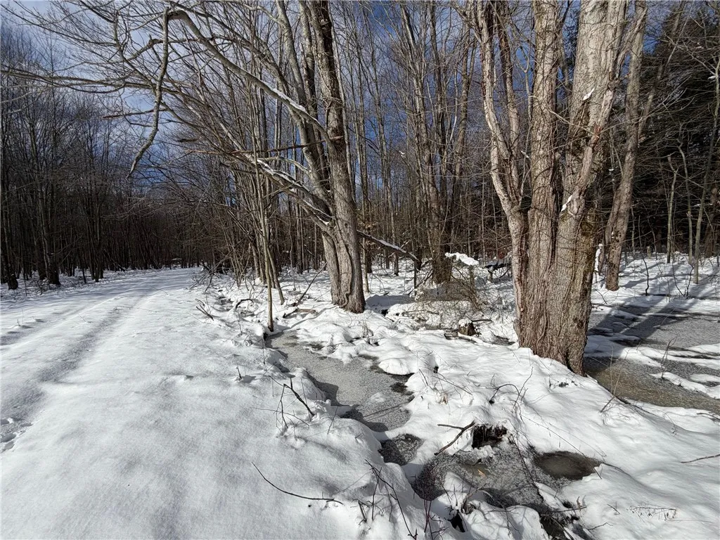 Carpenter Road, Evans, New York 14006, Evans, New York 14006, ,Land,For Sale,Carpenter Road, Evans, New York 14006,0,R1661481
