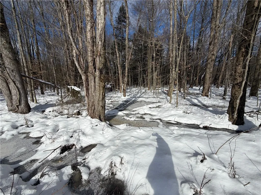 Carpenter Road, Evans, New York 14006, Evans, New York 14006, ,Land,For Sale,Carpenter Road, Evans, New York 14006,0,R1661481