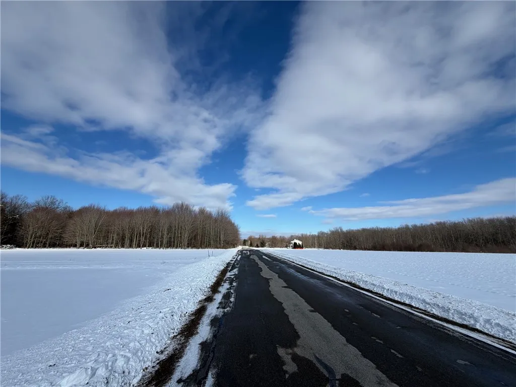 Carpenter Road, Evans, New York 14006, Evans, New York 14006, ,Land,For Sale,Carpenter Road, Evans, New York 14006,0,R1661481