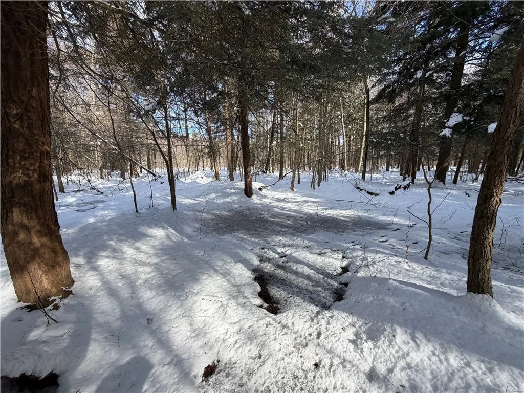 Carpenter Road, Evans, New York 14006, Evans, New York 14006, ,Land,For Sale,Carpenter Road, Evans, New York 14006,0,R1661481