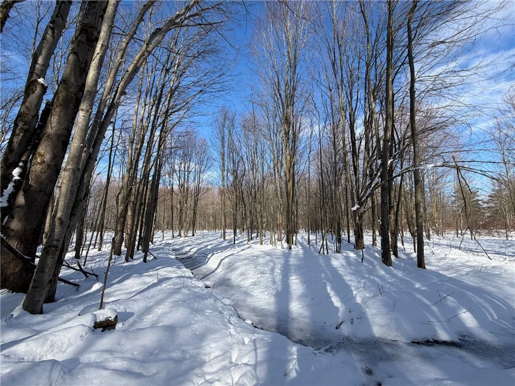 Carpenter Road, Evans, New York 14006, Evans, New York 14006, ,Land,For Sale,Carpenter Road, Evans, New York 14006,0,R1661481