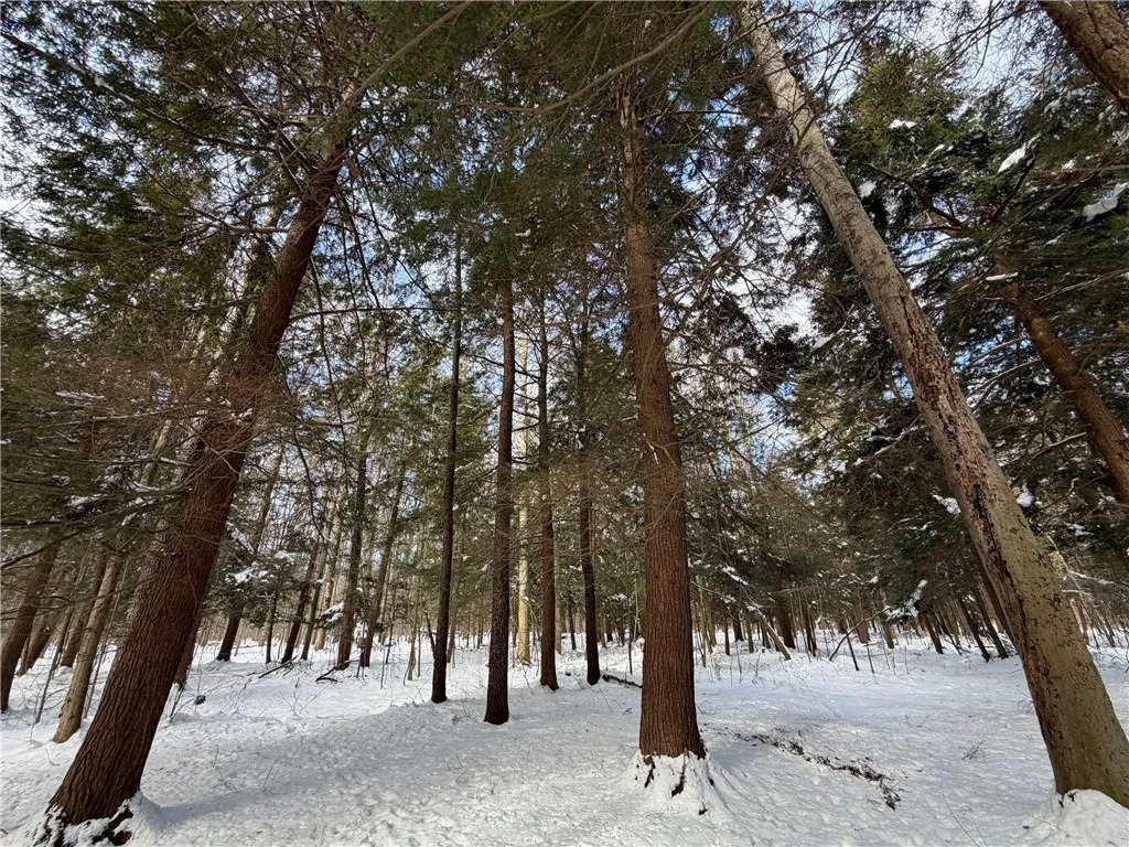 Carpenter Road, Evans, New York 14006, Evans, New York 14006, ,Land,For Sale,Carpenter Road, Evans, New York 14006,0,R1661481