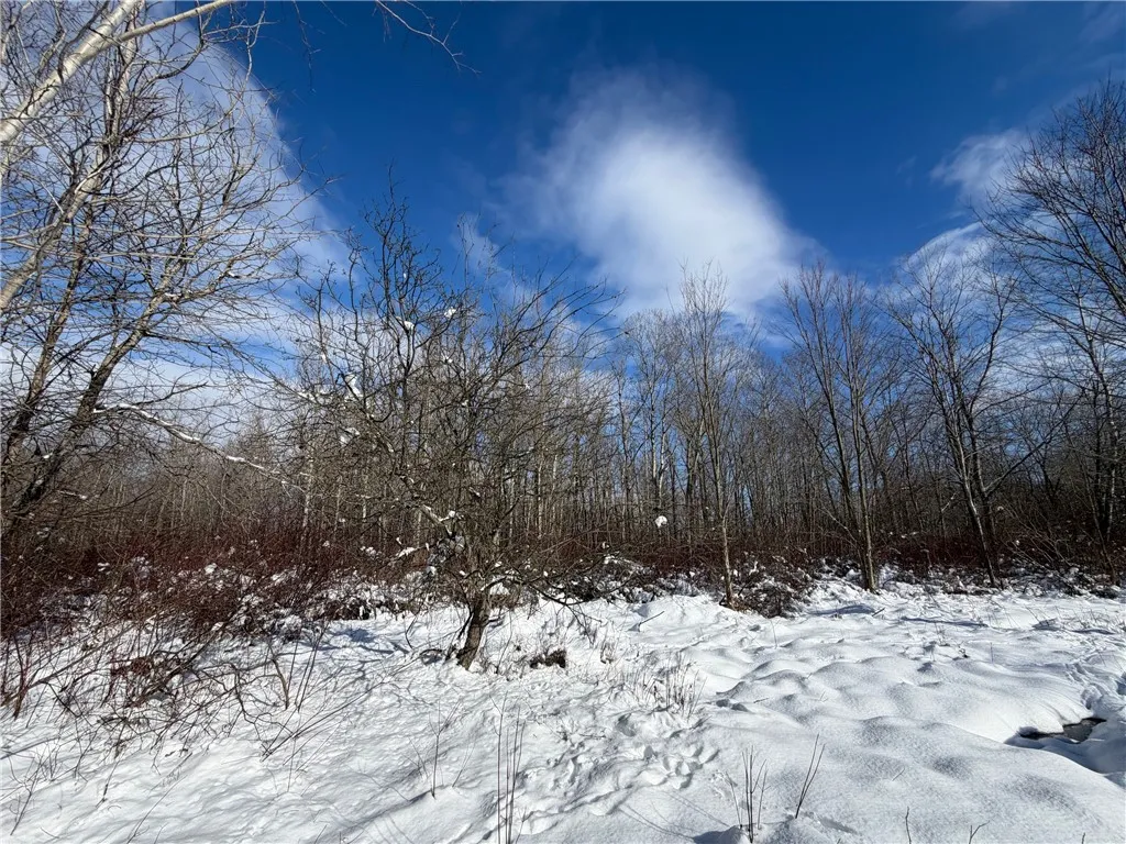 Carpenter Road, Evans, New York 14006, Evans, New York 14006, ,Land,For Sale,Carpenter Road, Evans, New York 14006,0,R1661481