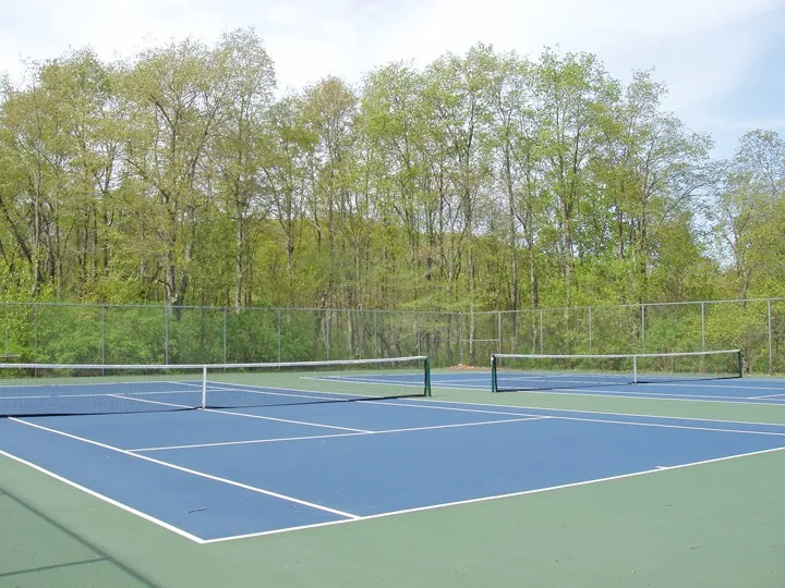 Timberland Drive, Andes, New York 13731, Andes, New York 13731, ,Land,For Sale,Timberland Drive, Andes, New York 13731,0,R1661515