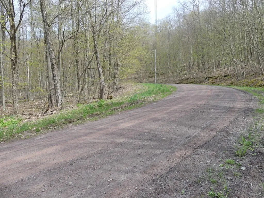 Timberland Drive, Andes, New York 13731, Andes, New York 13731, ,Land,For Sale,Timberland Drive, Andes, New York 13731,0,R1661515