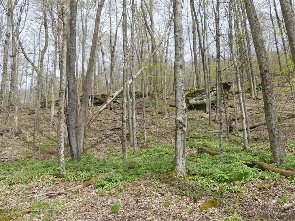 Timberland Drive, Andes, New York 13731, Andes, New York 13731, ,Land,For Sale,Timberland Drive, Andes, New York 13731,0,R1661515