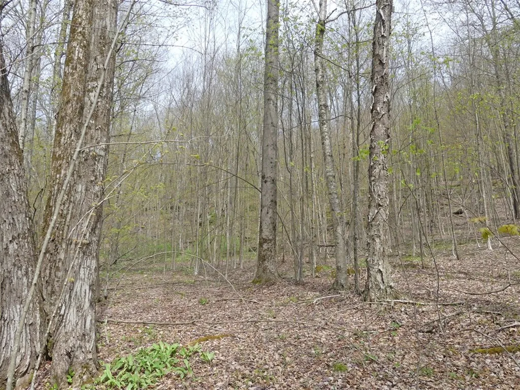 Timberland Drive, Andes, New York 13731, Andes, New York 13731, ,Land,For Sale,Timberland Drive, Andes, New York 13731,0,R1661515