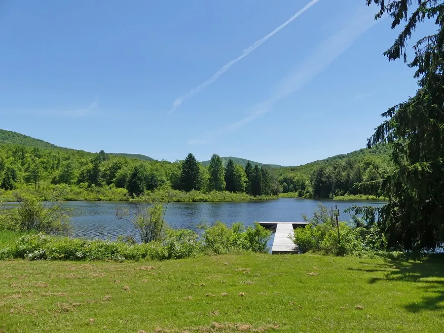 Timberland Drive, Andes, New York 13731, Andes, New York 13731, ,Land,For Sale,Timberland Drive, Andes, New York 13731,0,R1661515