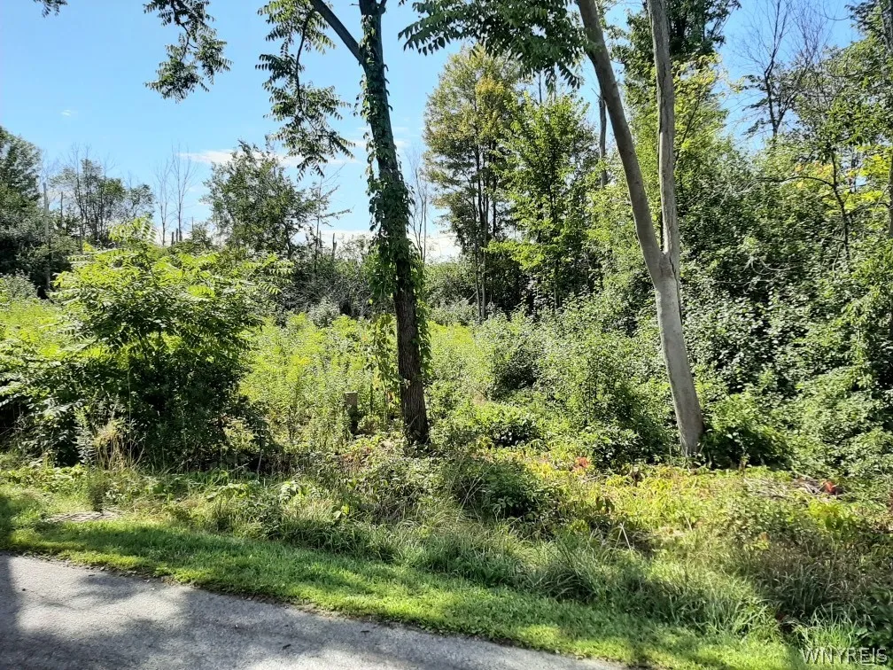 5962 Rosewood Terrace West, Hamburg, New York 1407, Hamburg, New York 14075, ,Land,For Sale,5962 Rosewood Terrace West, Hamburg, New York 1407,0,B1661546