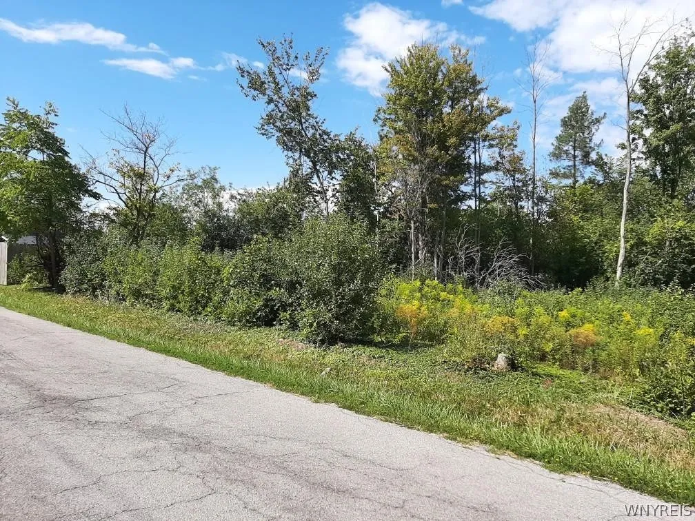 5962 Rosewood Terrace West, Hamburg, New York 1407, Hamburg, New York 14075, ,Land,For Sale,5962 Rosewood Terrace West, Hamburg, New York 1407,0,B1661546